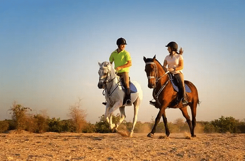 Aravali Mountains: Go Horse Riding